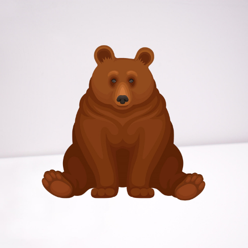 bear on white background