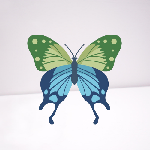 green and blue butterfly on white background
